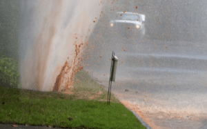Some Signs Of Sprinkle Leak In Your Yard Pacific Beach San Diego