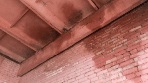 How Leaky Pipes Can Damage Your Entire Building Pacific Beach San Diego?