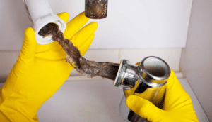 Reasons For Main Sewer Clogs At Your Residence Pacific Beach San Diego