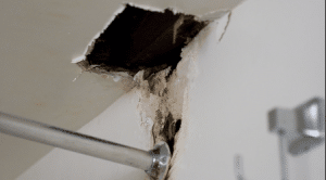 Signs That Your Toilet Wall Has A Hidden Leak In Pacific Beach San Diego